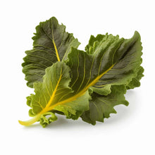 Load image into Gallery viewer, Herbivore Garden Starter Seed Set