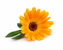 Load image into Gallery viewer, Calendula Flower Petals!
