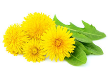 Load image into Gallery viewer, Dandelion Seeds