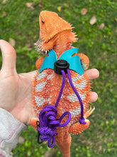 Load image into Gallery viewer, Lizard Harness - Baby Size 50-75g