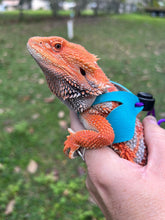 Load image into Gallery viewer, Lizard Harness - Adult Size 350-450g