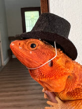 Load image into Gallery viewer, Top Hat