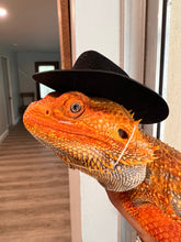 Load image into Gallery viewer, Cowboy Hats