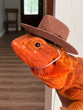 Load image into Gallery viewer, Cowboy Hats