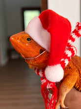 Load image into Gallery viewer, Santa Hat and Scarf