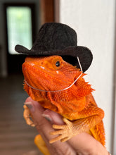 Load image into Gallery viewer, Top Hat