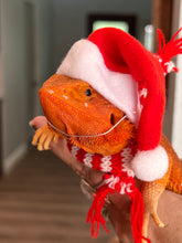 Load image into Gallery viewer, Santa Hat and Scarf