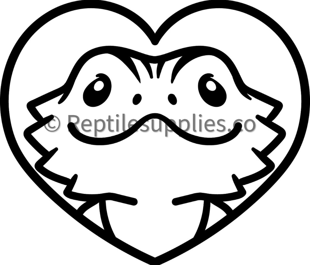 Cutest Bearded Dragon with a Heart Decal