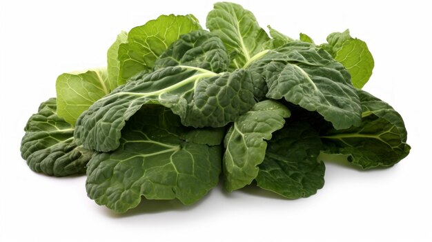 Collard Greens Plant Seeds
