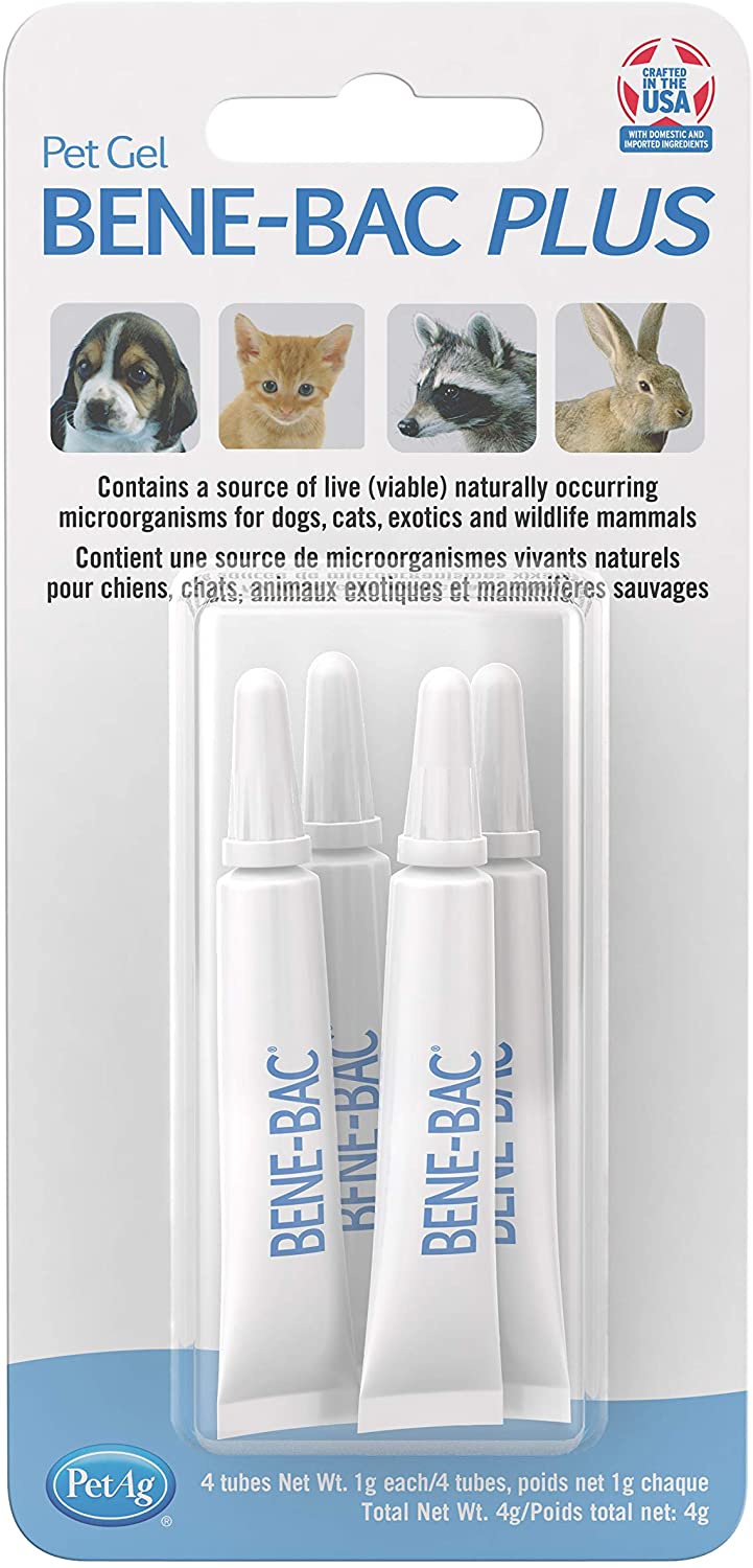 Bene Bac Plus Probiotic Gel 4 pack 1g tubes