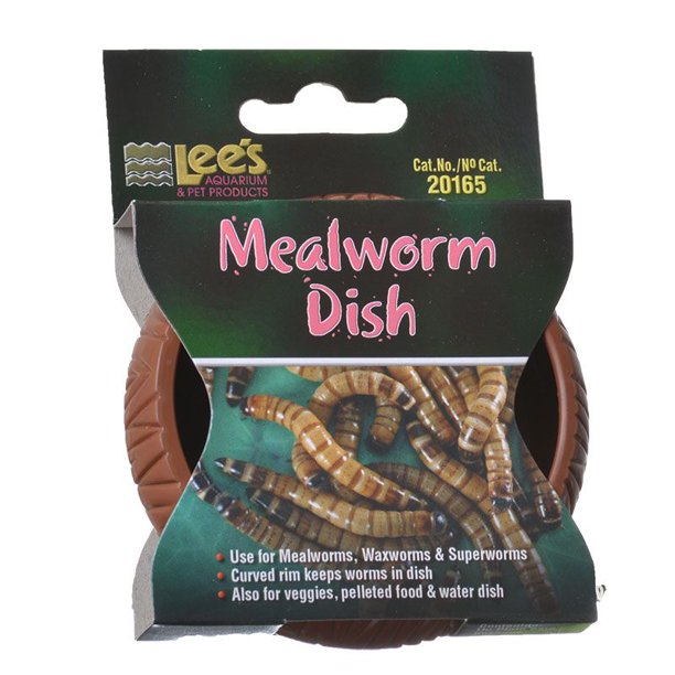 Lee's Mealworm Dish