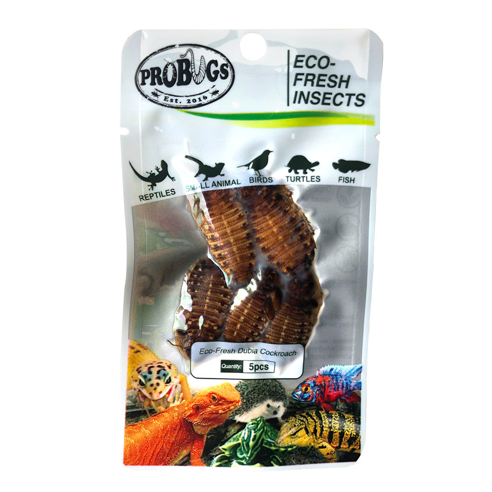 PROBUGS Eco-Fresh Dubia