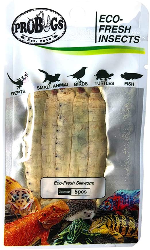 PROBUGS Eco-Fresh Silkworms