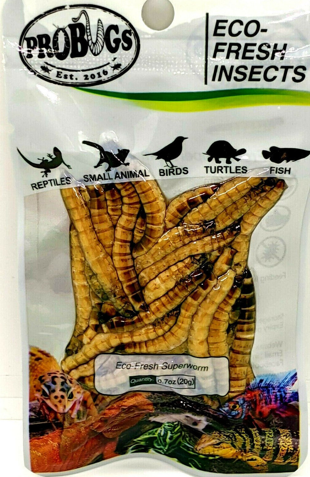 PROBUGS Eco-Fresh Superworms